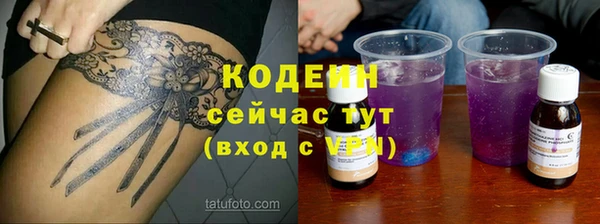 мдпв Вязьма